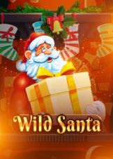 Wilds Santa